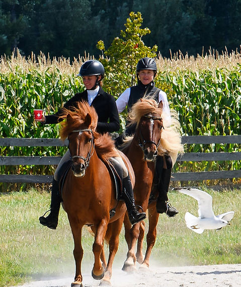 DalewoodPhoto002_edited.jpg