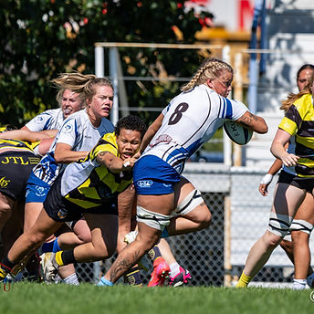 20260711 Hornets Vs Rams AWP Rugby 023_edited.jpg