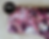 Thumbnail: Double Brushed Poly Dark Peony