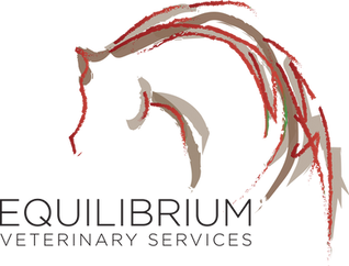 Equilibrium_logo_final.png