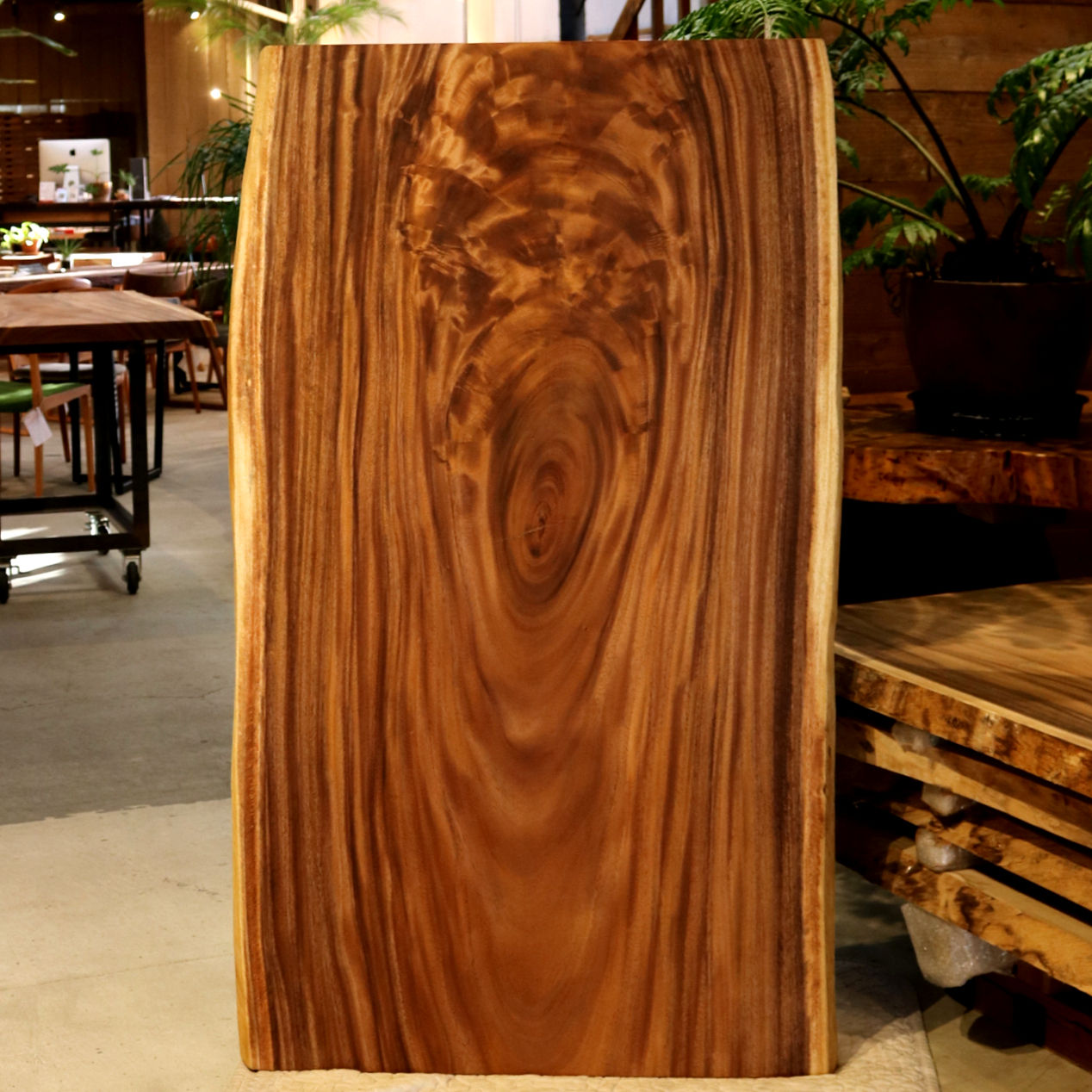 Monkey pod 1480  １piece