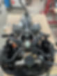 IMG_9811.jpeg