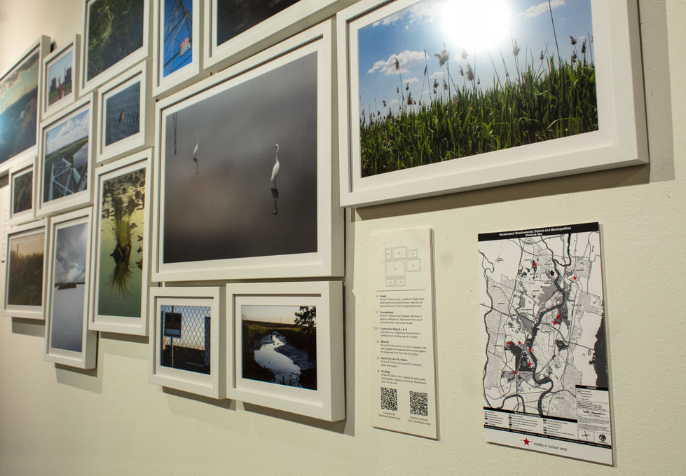 BFA Thesis Exhibition Gallery Image