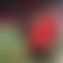 Siblings Training together at SP