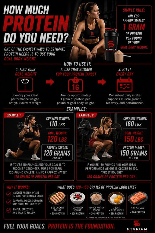 Muscle building for females