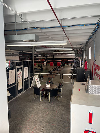 Athlete Entrance at Stadium Performance