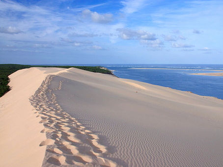 Location de bus pour une escapade inoubliable à la Dune du Pilat