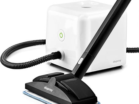The Best Steam Cleaner