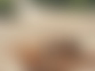 Top 8 Summer Must Haves