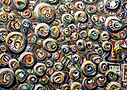 Untitled design (52).png