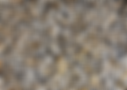 Untitled design - 2024-08-13T105323.245.png