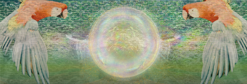 Untitled design (5).png