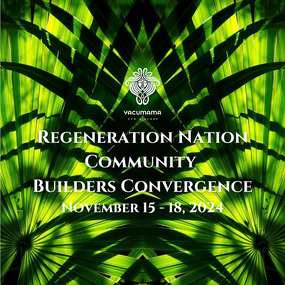 Regeneration Nation Community Builders Convergence