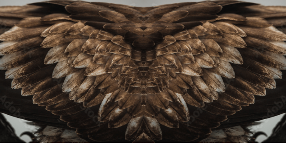banner 8.png