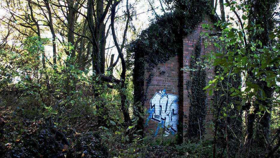 A sliver coloured piece of graffiti on a derelict cottage in the woods