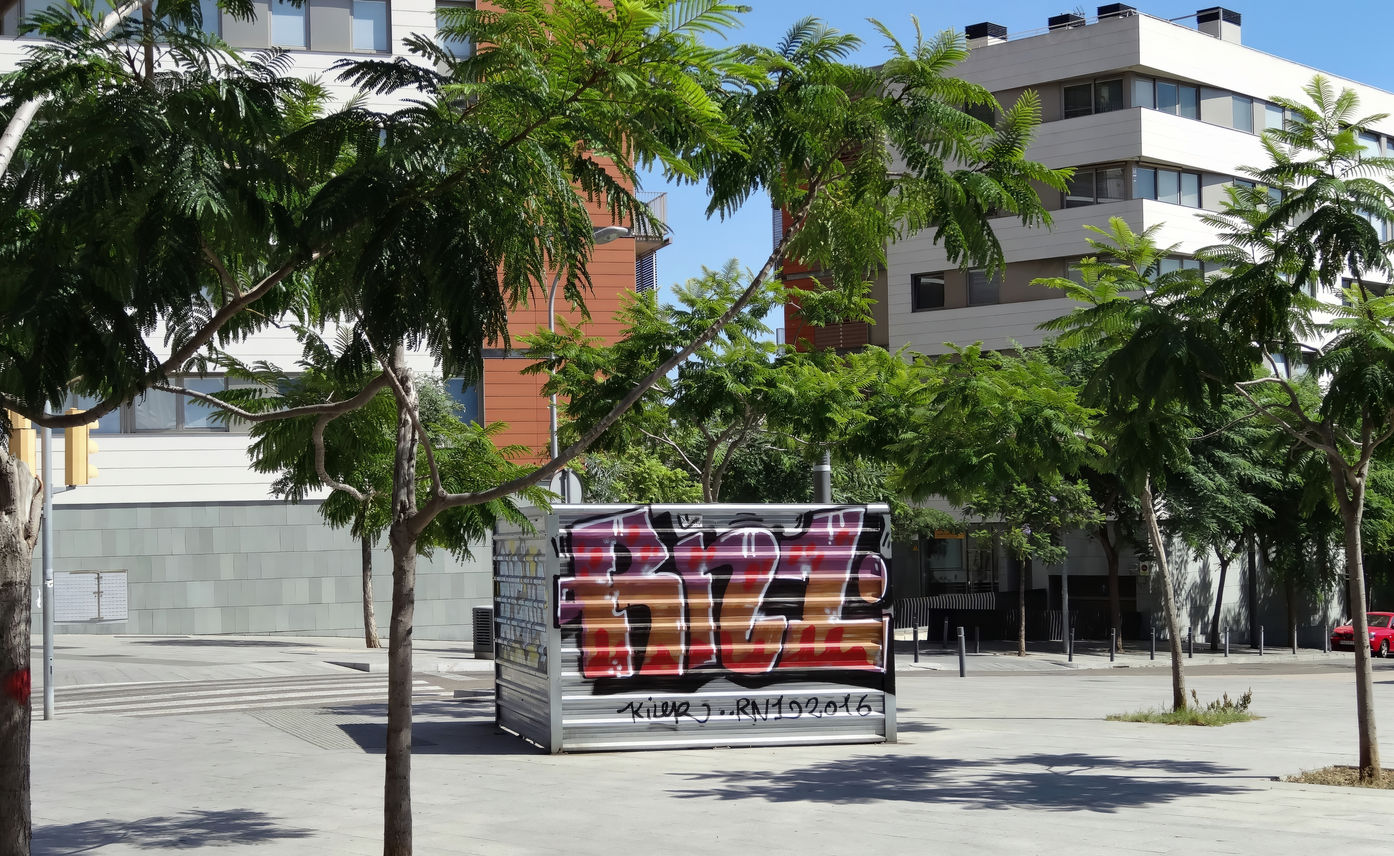 RN1 graffiti lettering surrounded by palm trees in Barcelona, Spain