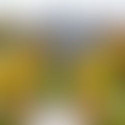 Syracuse University Study Shows Nearly $2 Billion Economic Impact on Central New York