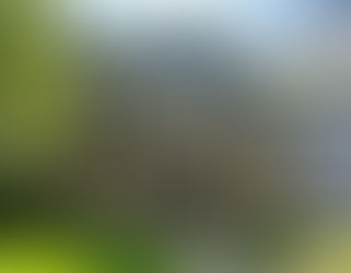 Rochester Police Release New Details in Coventry Street Stabbing and Shooting Investigation