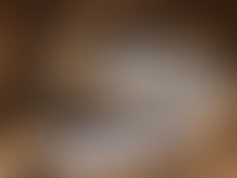 Why Black Americans Should Pay Close Attention to Birthright Citizenship Debate