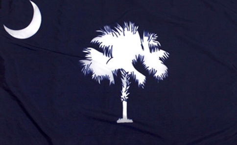 _0046_South-Carolina-flag-emblem.jpg