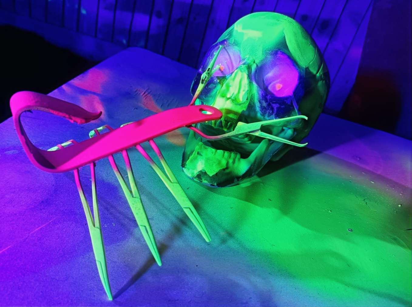 Scorpion sculpture with forceps legs