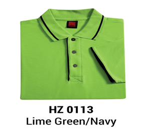 Thumbnail: HZ 0100