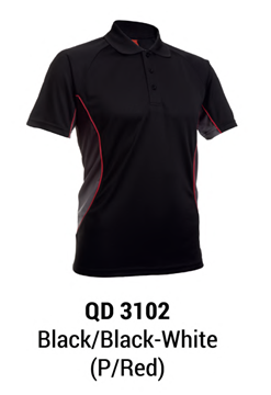 縮圖：QD 3101