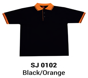 Thumbnail: SJ 0100