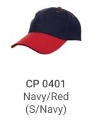 CP 0401