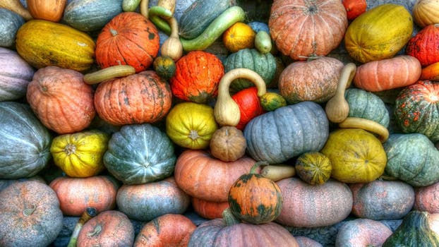 colorful autumn vegetables