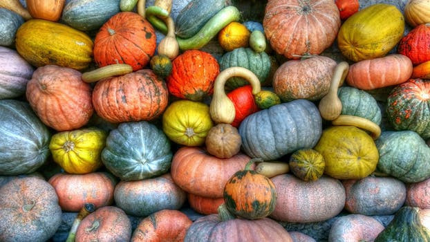 colorful autumn vegetables