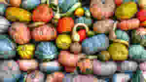colorful autumn vegetables