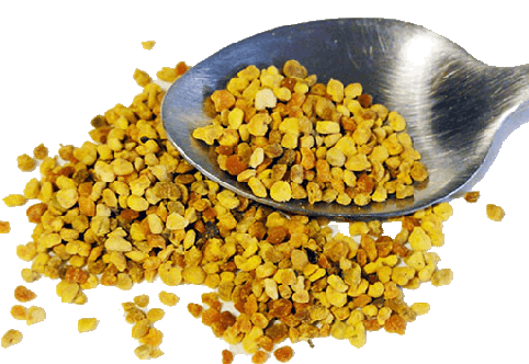 Bee Pollen for Allergy Relief