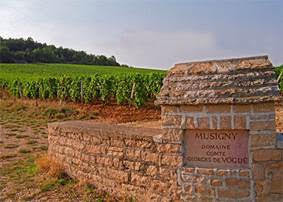Chambolle-Musigny and Bonnes Mares - A Serious Selection from Comte de Vogue