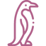 penguin.png
