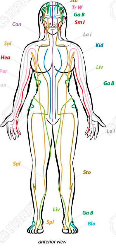El ciclo menstrual de la mujer - Medicina China y movimiento