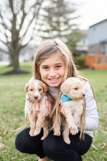 puppies91.jpg