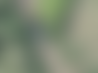 Así pasea el CJNG con tanques de guerra y metralletas Minigun en Santa María del Oro, Jalisco