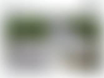 ¿Por qué la carretera chueca de Playa del Carmen no debería estar diseñada así?