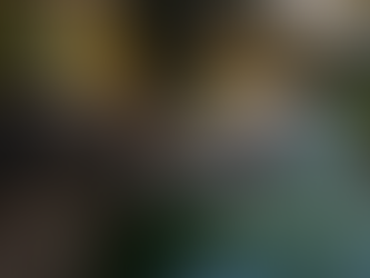 Oso habría matado a hombre mientras iba a pescar; hallaron su cabeza