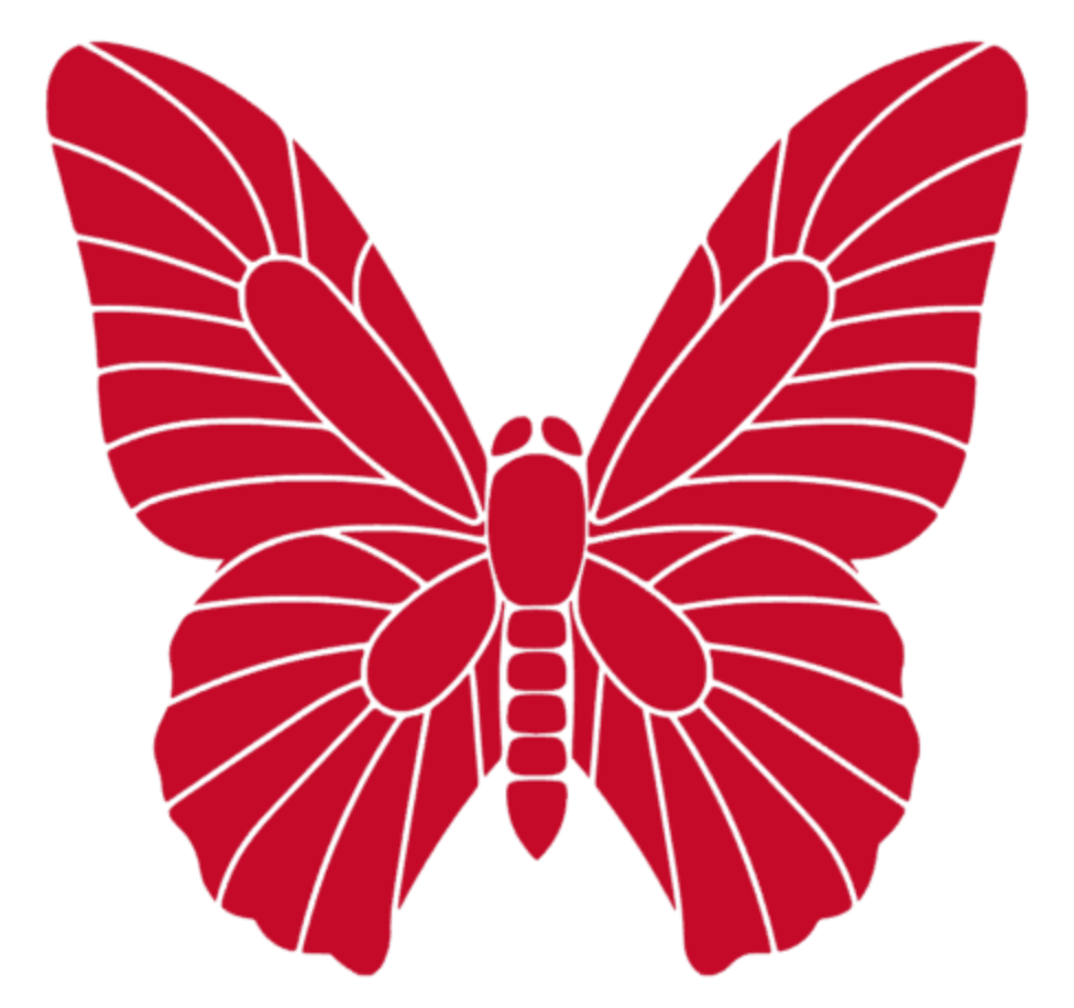 Butterfly Insect Wings Vinyl Sticker Decals (Pack of 2)