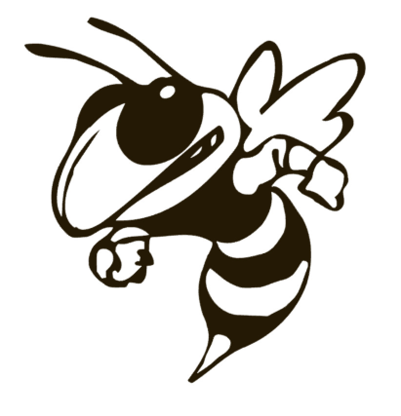 Thumbnail: Yellow Jackets Vinyl Sticker Decals (Pack of 2)