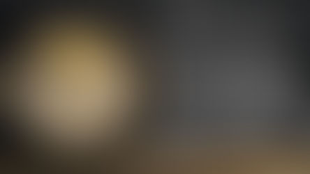 Old Fitzgerald Bottled-in-bond 7 Year Distilled Spring 2018