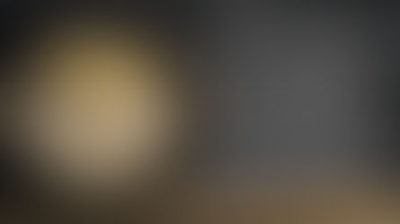 Goose Island 2021 Bourbon County Brand Reserve 150 Stout