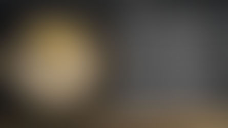 Michter's 20 Year Kentucky Straight Bourbon Batch No. 24I3207