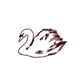 swan2-removebg-preview_edited_edited.png