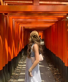 6D3A8B98-67CD-4F07-AB2E-7339400153E4_4_5005_c.jpeg