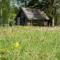 Ängskär-Bondskäret-Carina-Bodin_Snapseed-1030x686.jpeg