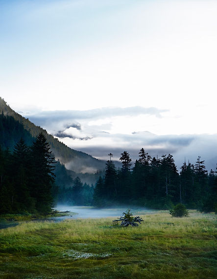 Misty Valley