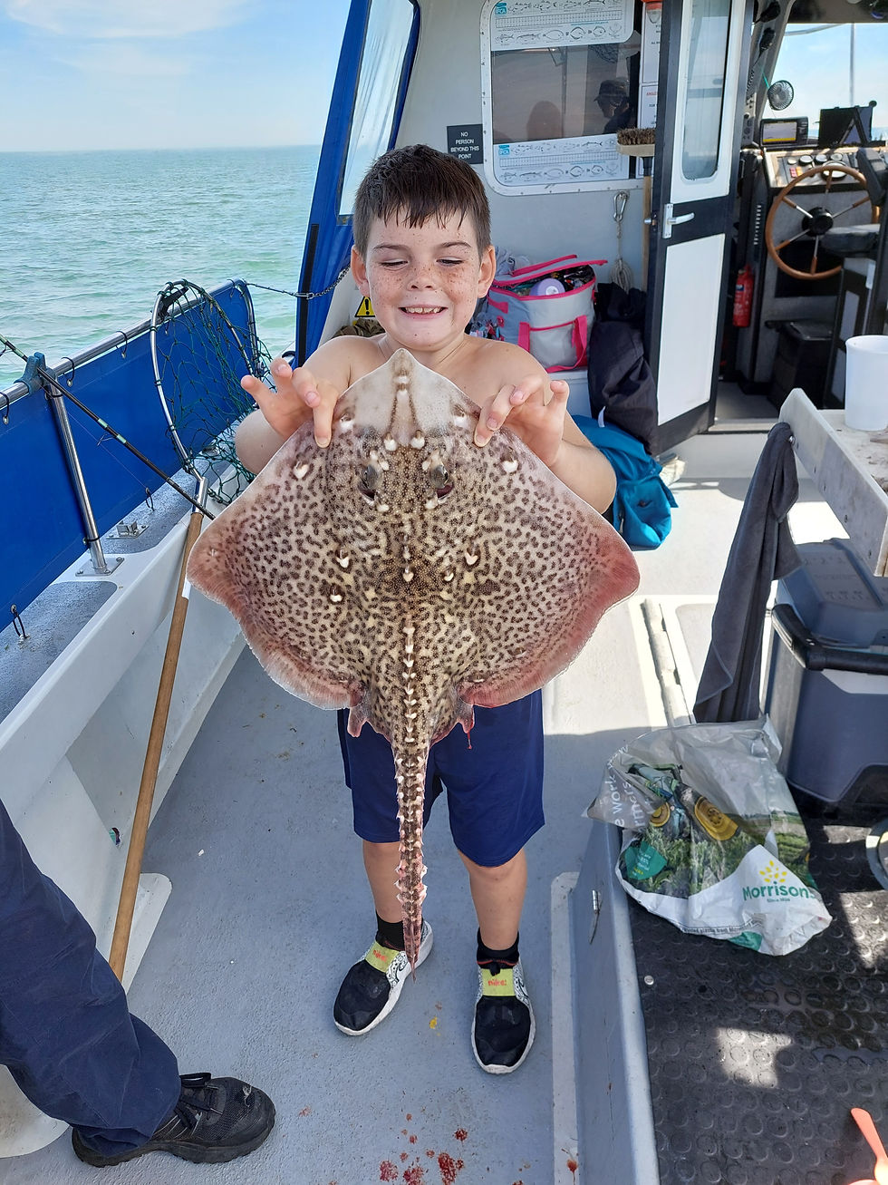 Sea Fishing
